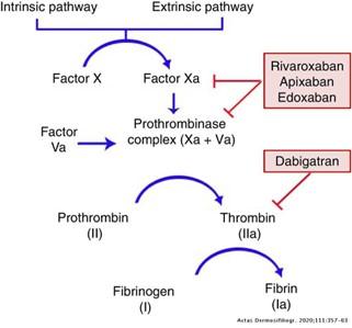 Figure 1: DOAC mechanisms of action