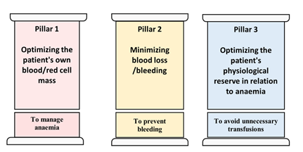 Figure 3: The three pillars of patient blood management for improving outcomes. 