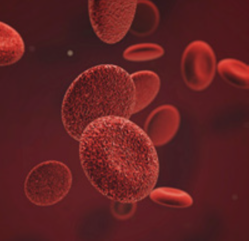 Figure 1: Image of a red blood cell