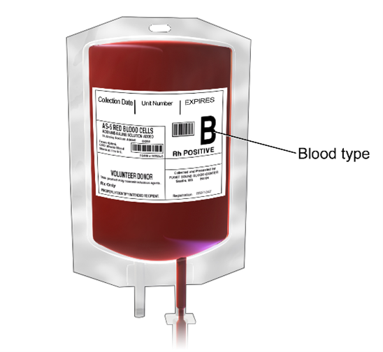 blood bag
